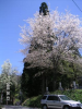 s_pict0189_thumb.png